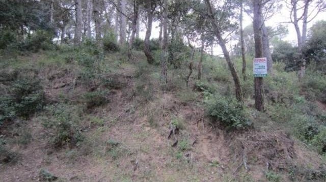PLOT WITH VIEWS IN BEGUR - 2