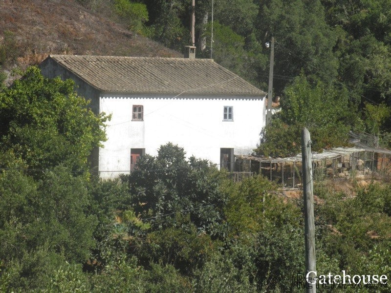 Portugal Small Farm For Sale In..