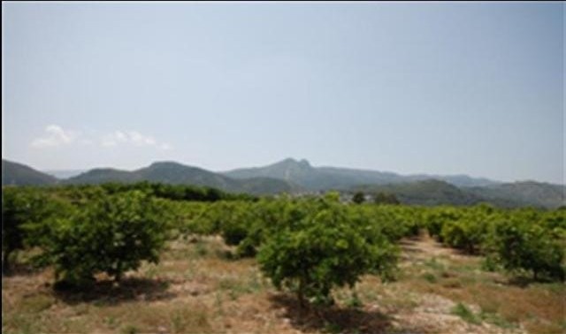 Plot For Sale Orba - Ref: 1621 - 2
