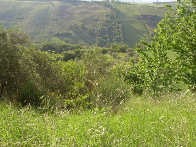 Land for sale in Italy - Terreno del.. - 2