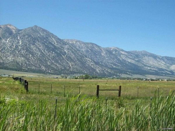 Land For Sale: Gardnerville, Nevada