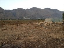 Land For Sale In Southern Crete - 2