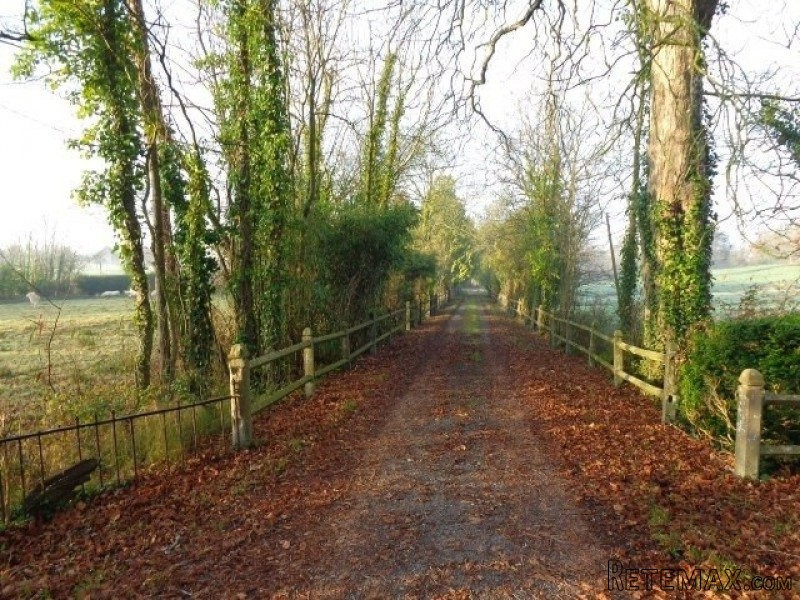 Country House on 1.8 Hectares - 2