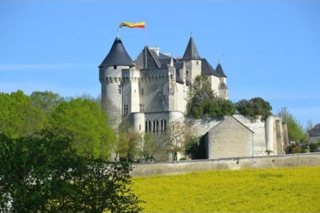 Castle For Sale: 86000 EN VIENNE