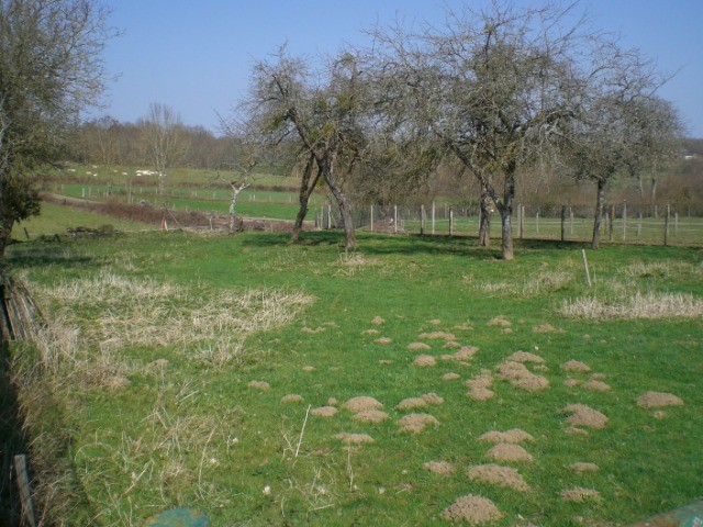 23 - Creuse