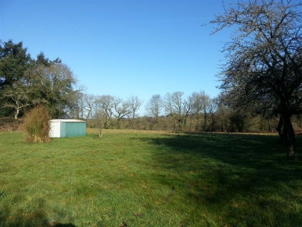 Main House, Three Gites, Countryside - 2