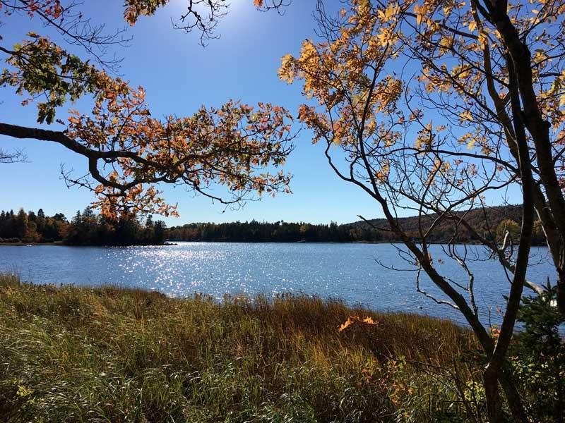 Land For Sale: 5792 St. Margaret's Bay.. - 2