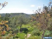 Huge Building Plot For Sale At Vamos.. - 2
