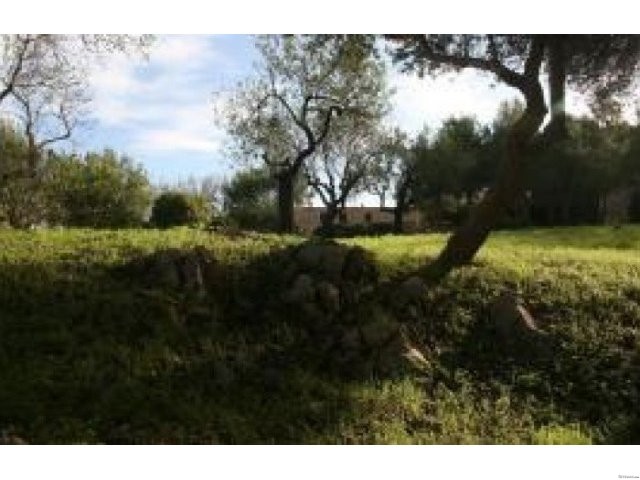 Mallorca, Baleares - 2