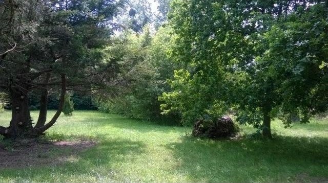 Property For Sale - 2