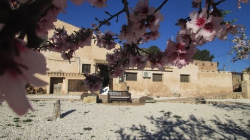Casa Rural Country Guest House Pinoso - 2
