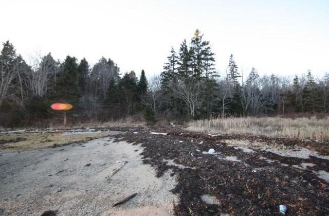 Land For Sale: 125 Mason's Point Road.. - 2