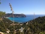 Real Estate, Mallorca, plot with.. - 2