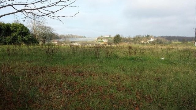 27255 - Vente - Terrain - Vergt