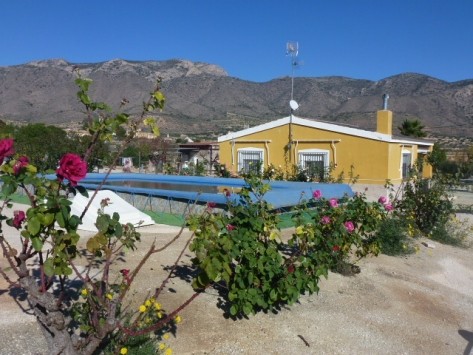 Country House - Villa in Hondon de las..