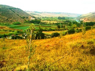 2.4 Hectares Land - Titled - Sidi Ben..