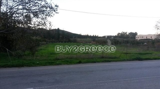 B283 - Land parcel of 6000 sqm in.. - 2
