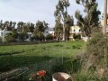 Plot In The Centre Of Georgioupolis - 2