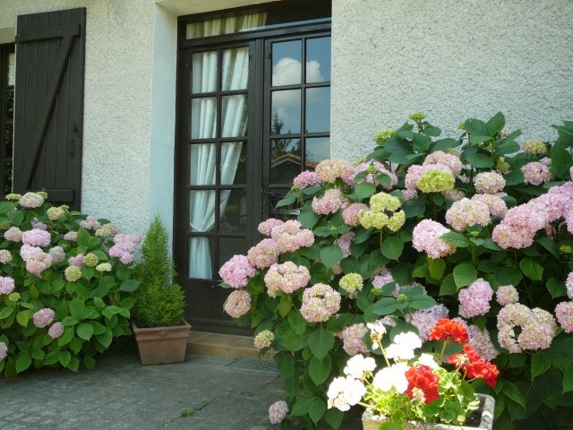 Spacious Country House - 2