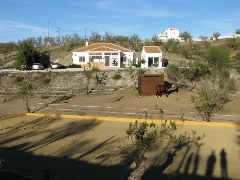 Equestrian Property For Sale In Albox..