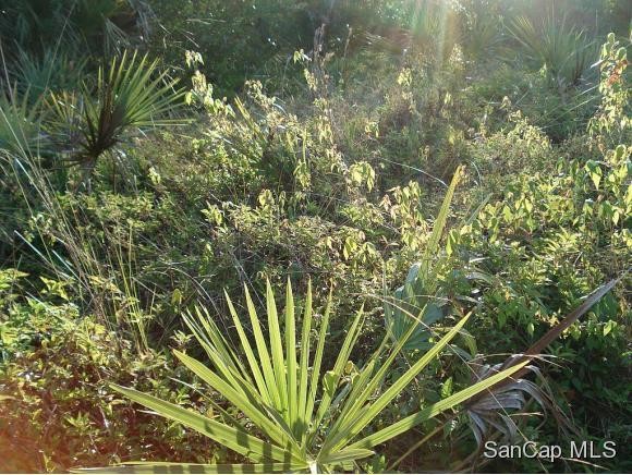 Land For Sale: Sanibel, Florida - 2