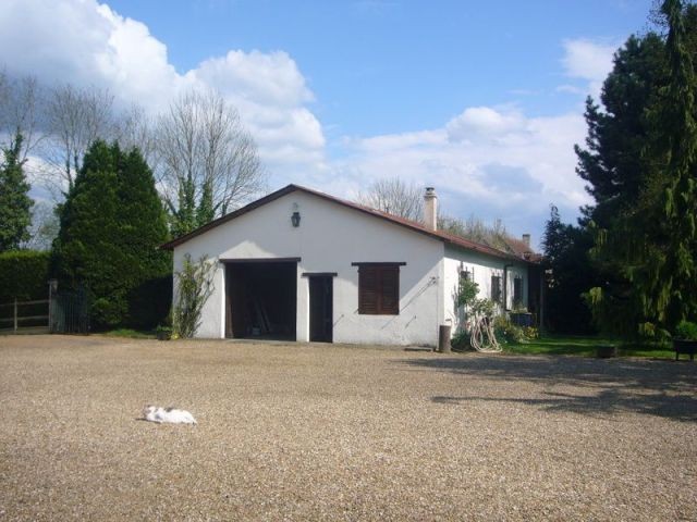 Beautiful Farmhouse with Woodstore - 2