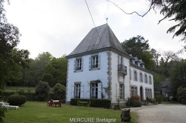 9 bedroom Manor House For Sale: 56530.. - 2