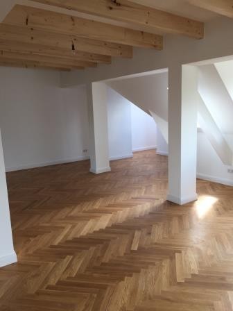 Luxury Penthouse in Friedenau