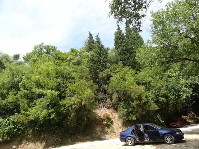 Bare land in Baošići, Herceg Novi - 2