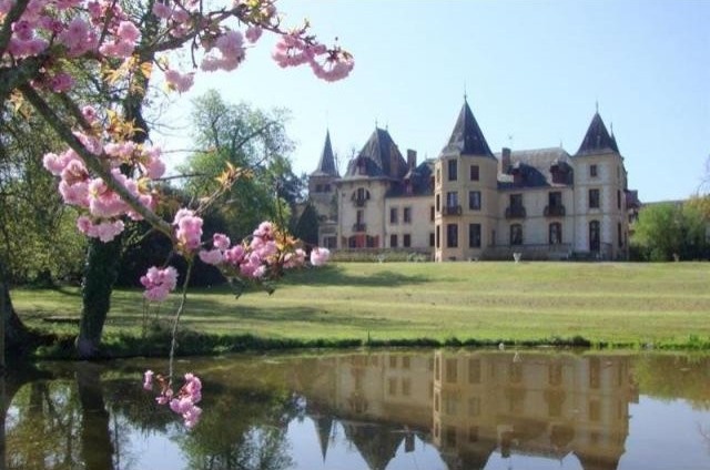 14 bedroom Castle For Sale: 03000 ALLIER