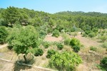 3 Bedrooms - Finca - For Sale - 2
