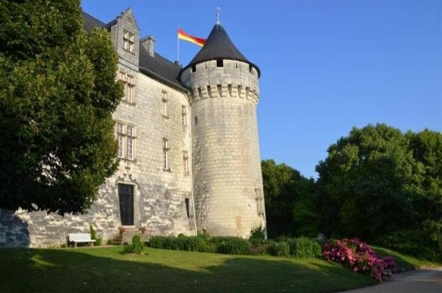 Castle For Sale: 86000 EN VIENNE - 2