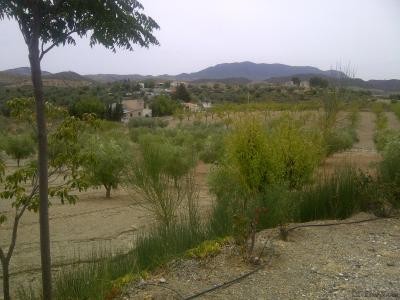 5 Bedrooms - Property - Almeria - For.. - 2