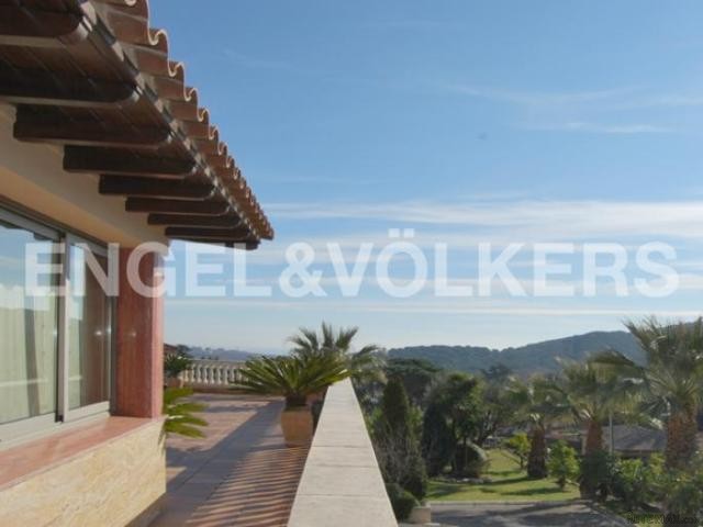 Lordly in a Residential area, Barcelona..