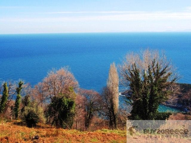 B045 - Land Patch Tsagarada, Pelion - 2