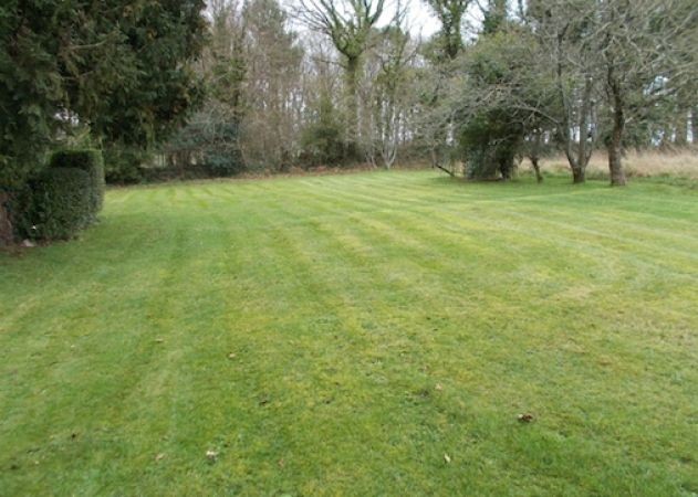 Luxury Country House, Pool, Land - 2