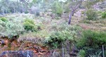 - Land - For Sale - 2
