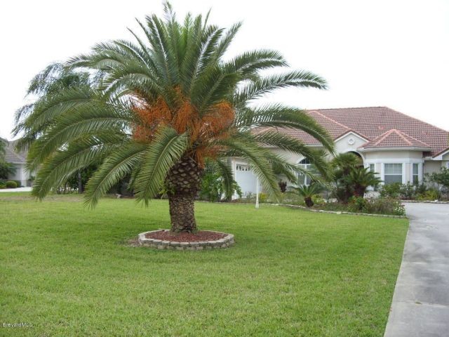3640 Ficus Grant Valkaria, FL 32949 - 2