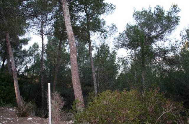 Large Plot With Views To Galatzo And..