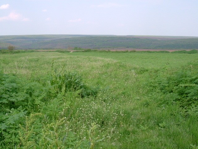 Land in Dryanovets, Dobrich - 2