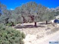 Buy Land In South-Crete - 2