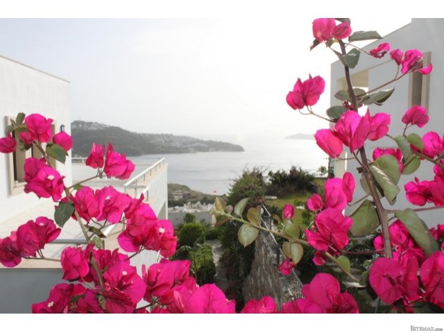Carpe Diem Apartments, Bodrum