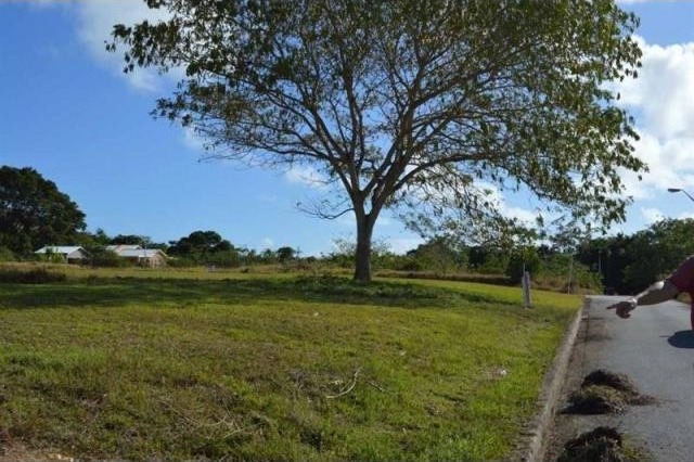Property For Sale: Hilbury Lot 56, St... - 2