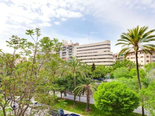 Lovely apartment with balcony on Paseo.. - 2