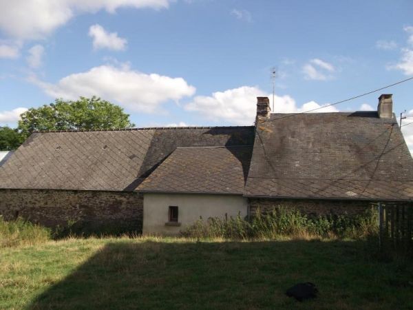 Nice house with More Potential - 2