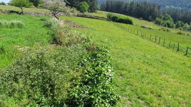 3 Bed Farm For Sale 3 1,830 Sq. Ft* - 2