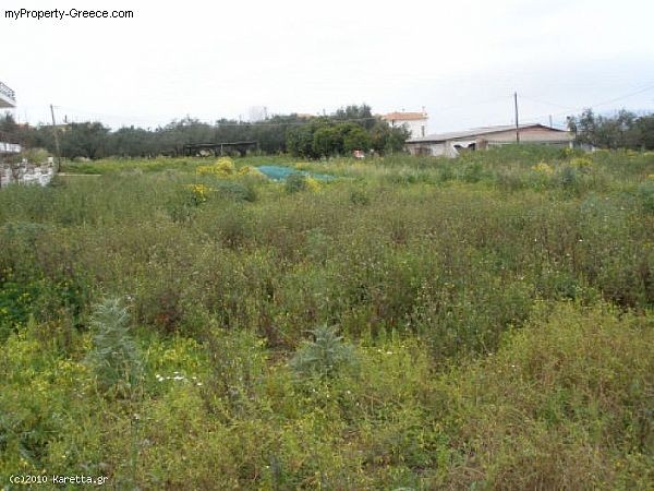 - Zakynthos - For Sale