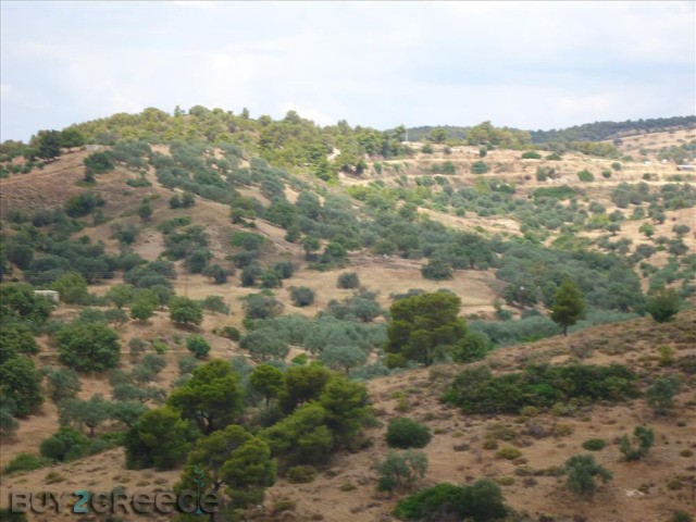 B256 - Land parcel of 6000 sqm in the.. - 2