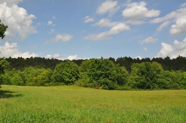 5 bedroom Land For Sale: Provence..