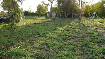 Site